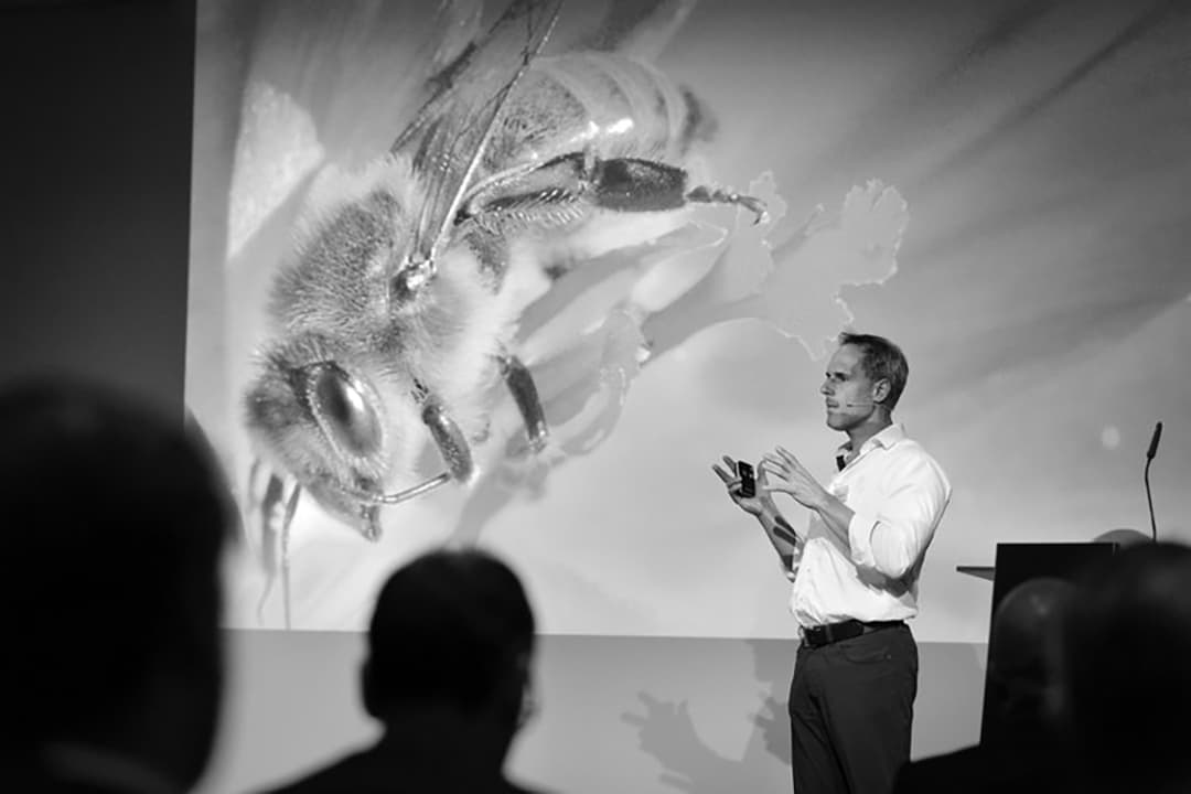 André Wermelinger vertritt FreeTheBees auf dem SRIM Forum