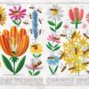 Bienen von Piotr Socha – Bild 5