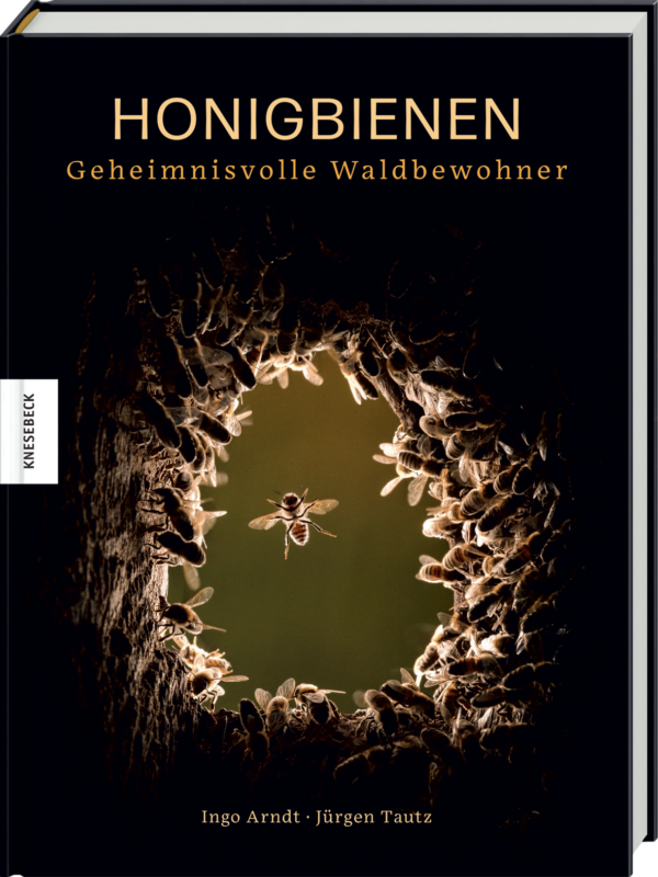 Honigbienen - Geheimnisvolle Waldbewohner Buch von Ingo Arndt und Jürgen Tautz