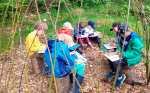 Schüler erfahren mehr über die Bienen