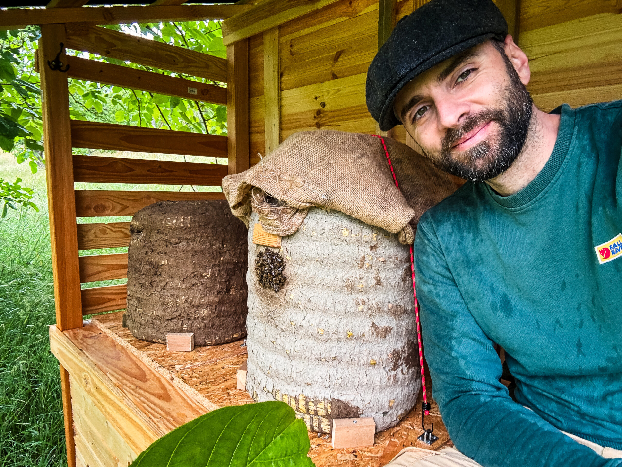 Bienen versammeln sich vor dem Flugloch eines Lüneburger Stülper an einem regnerischen Tag