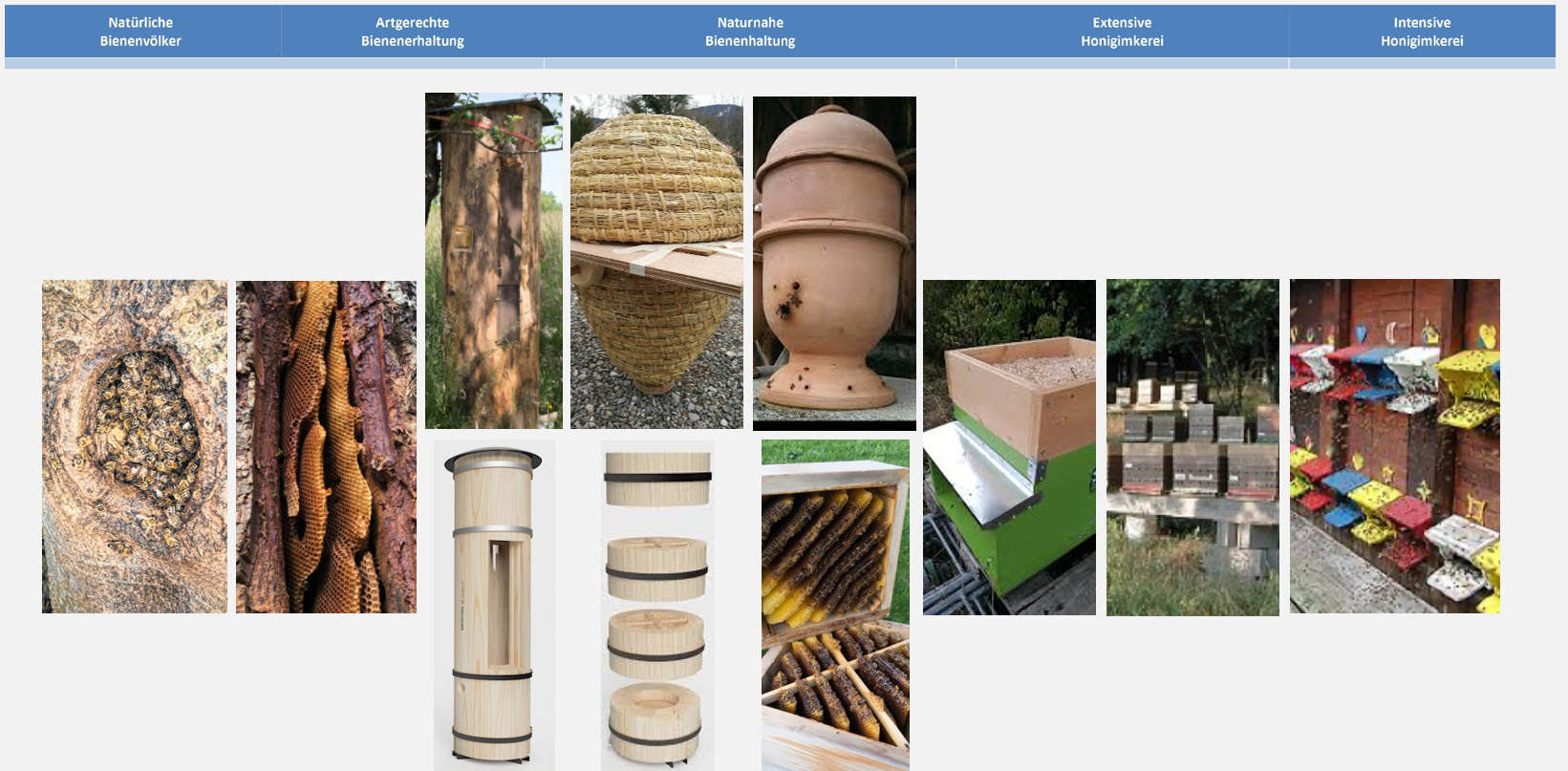 Übersicht über Bienenhabitate und Imkermethodik nach FreeTheBees