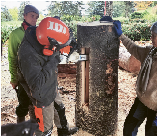 Klotzbeuten Workshop Baumhoehlen fuer Honigbienen und die Biodiversitaet
