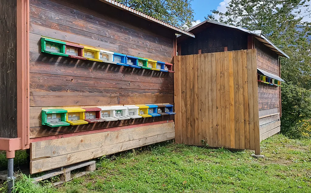 Bienenhaltung