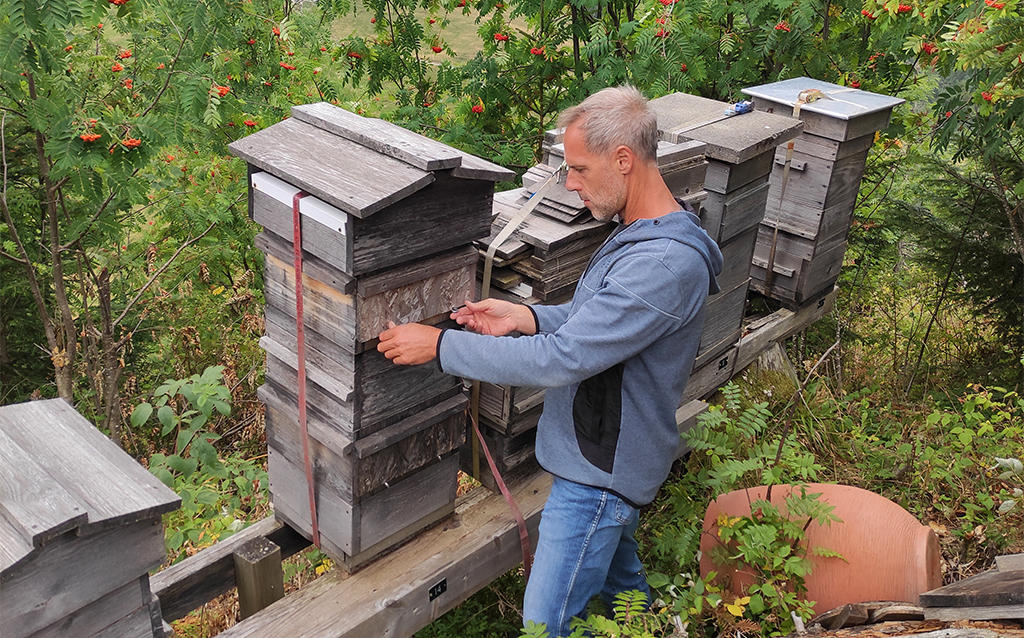 Imkersensibilisierung