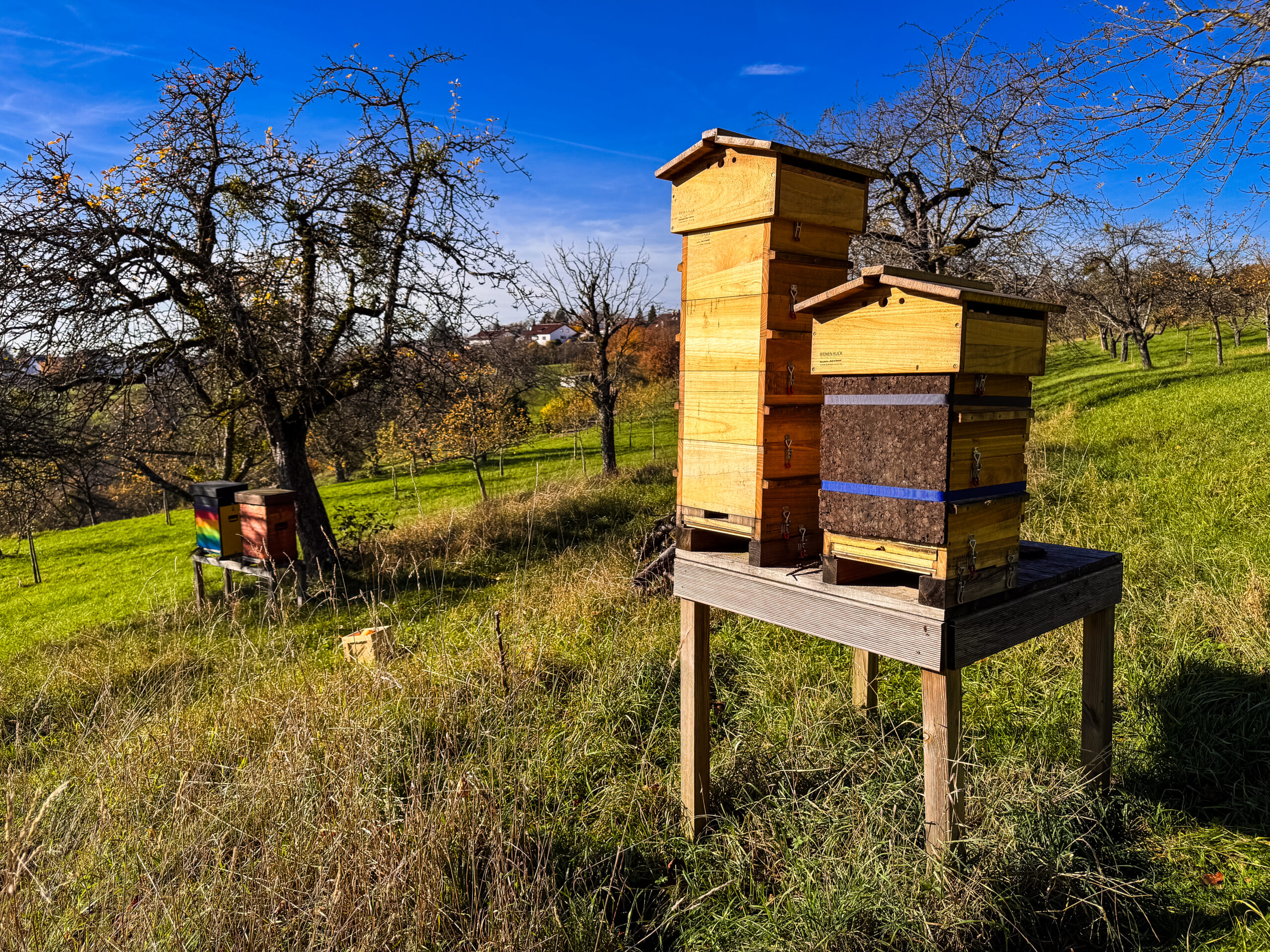 Warre Beute mit Korkplatte zusätzlich isoliert neben einer leeren, nicht-isolierten Warre Beute