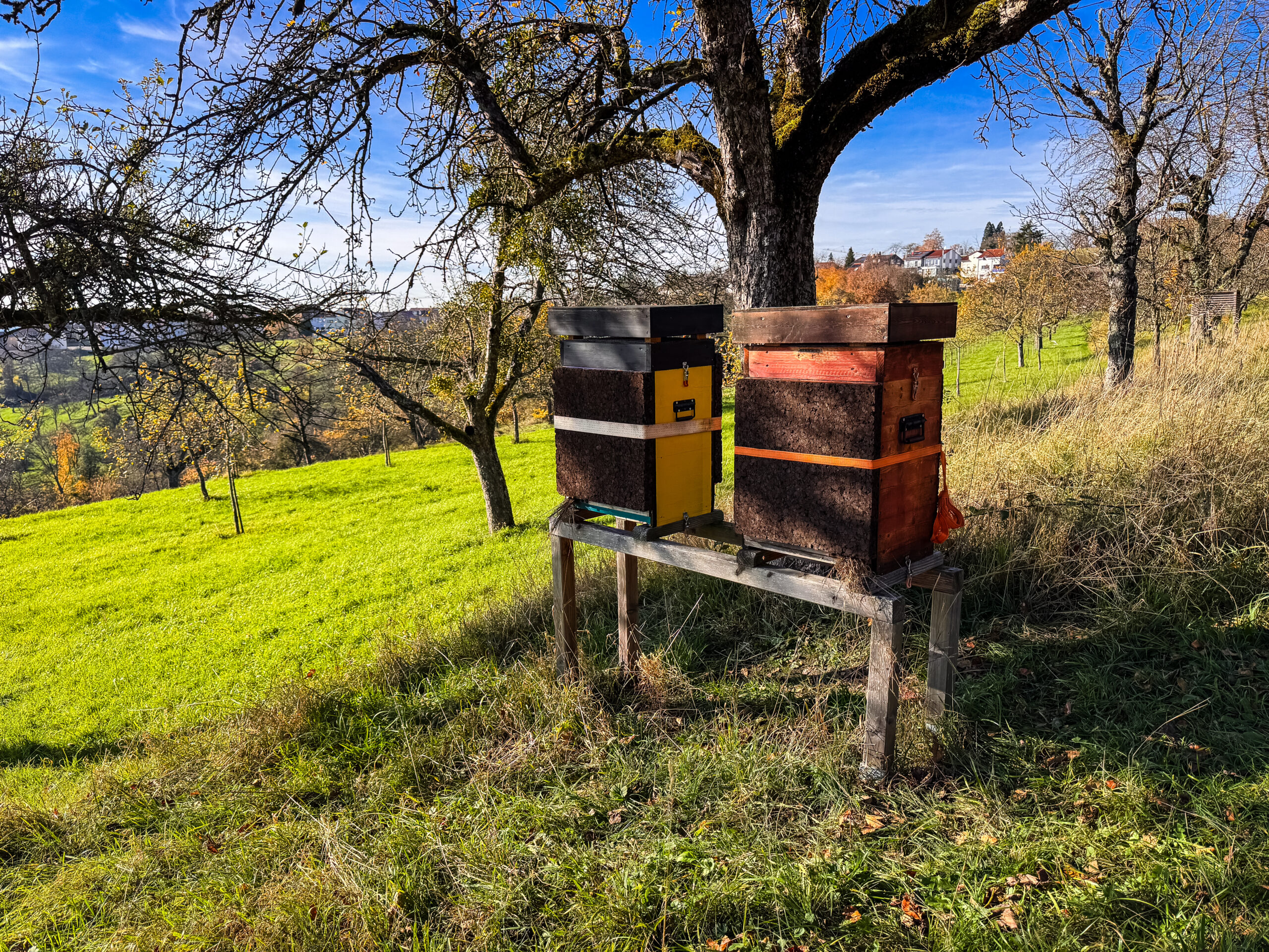 Zwei Einraumbeuten mit 4 cm Korkplatten isoliert
