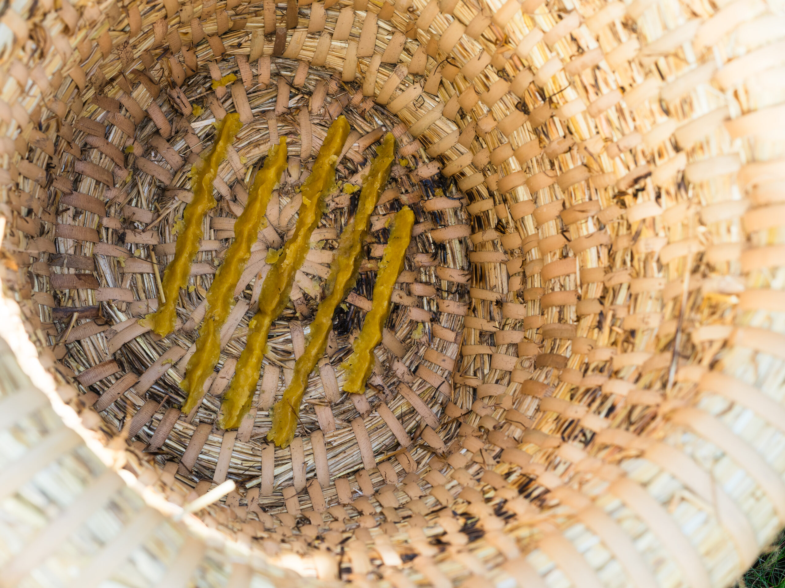 Bienenkorb Vorbereitung: Anfangsstreifen einbringen