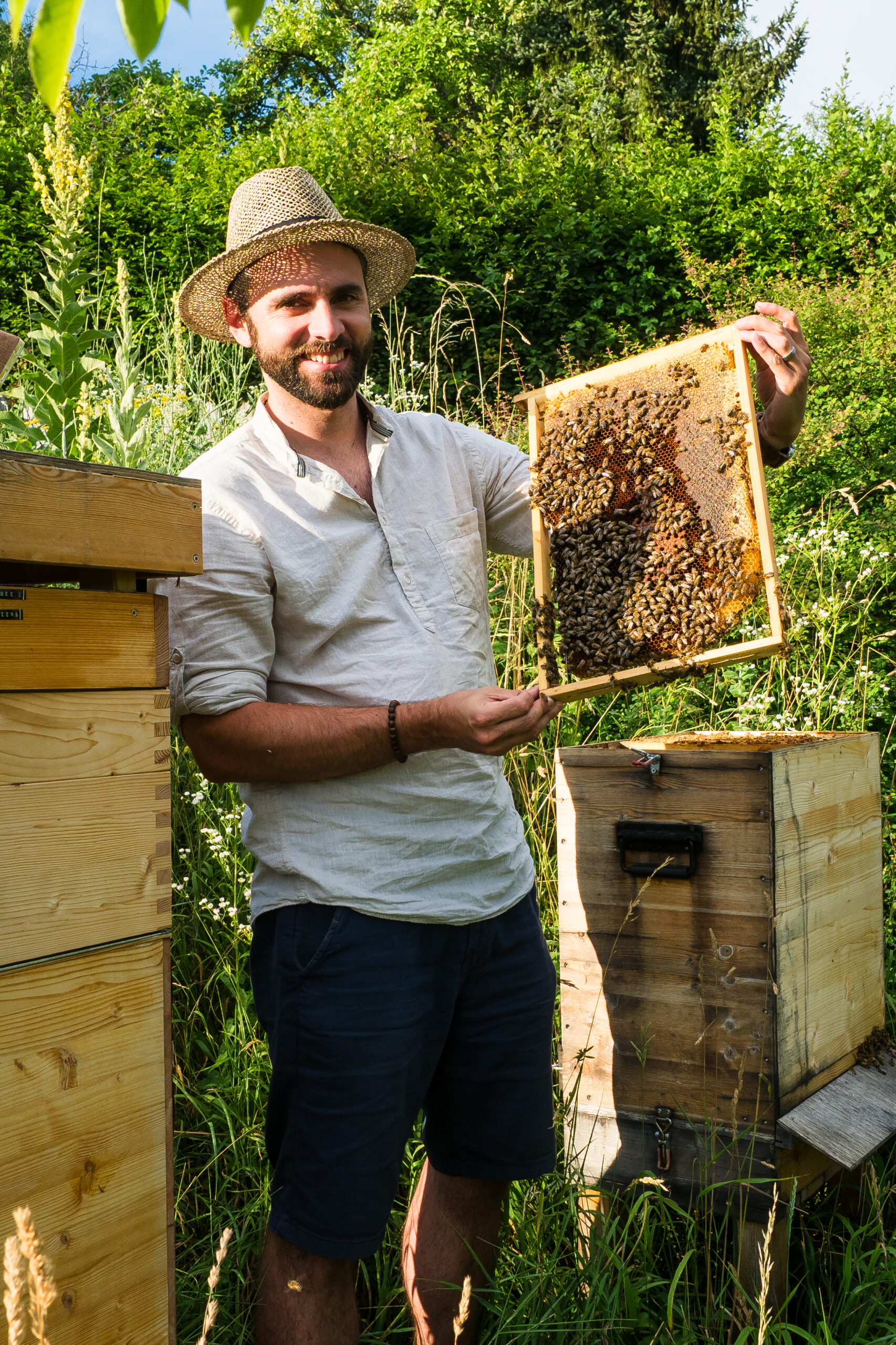 Ante mit einem besetzten Dadant-hochkant Bienenrahmen