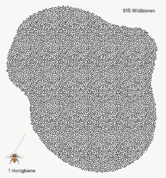Bild von BAFU zum Thema Biodiversität, Dossier «Wild und wertvoll»