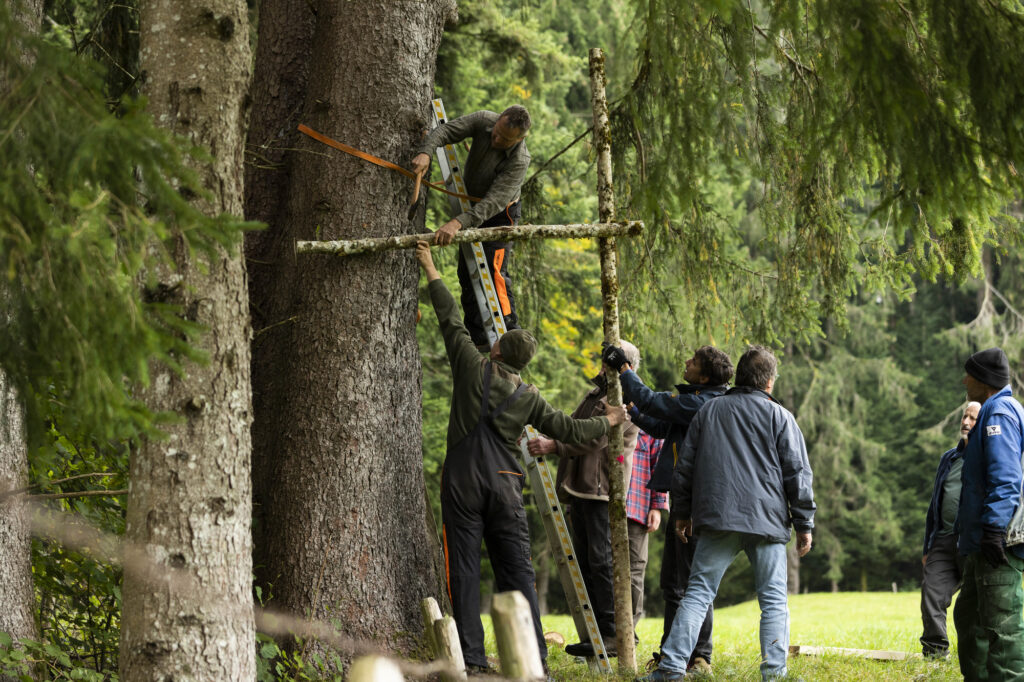 Im Rahmen des FreeTheBees Zeidlerkurses schlagen motivierte angehende Zeidlermeister eine Zeidlerhöhle in einen Baum, 2021, Foto: Maurice Sinclair