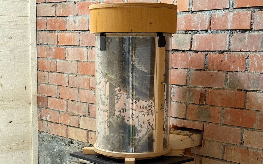 ruche-d-observation-sentier-decouverte-vaulruz Entdeckungspfad