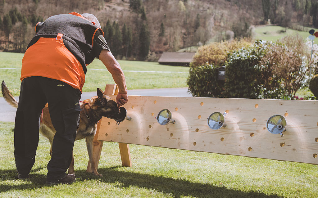 Spürhunde-FreeTheBees Einsatz von Hunden zur Früherkennung von Bienenkrankheiten
