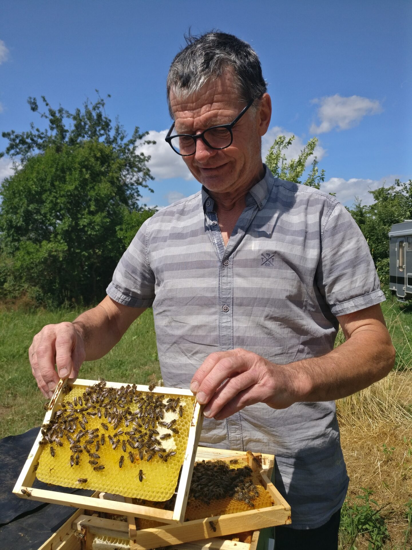 Ralph Büchler zeigt die komplette Brutentnahme in der Bienen ohne Grenzen Konferenz