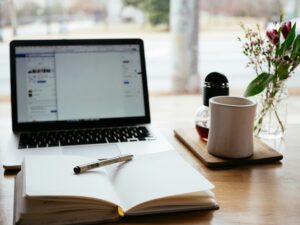 Online, Vorträge, Bienen ohne Grenzen