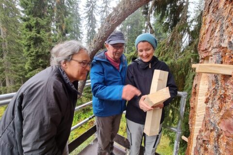 Klotzbeuten-Workshop Baumhöhlen für Honigbienen und die Biodiversität   - Glanerland 2021